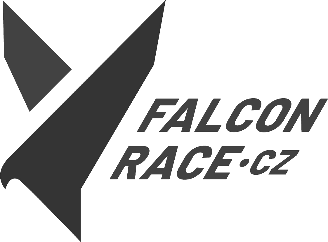 Falcon Race